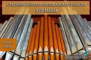 органный концерт Старинный орган Англиканского собора. Ave Maria