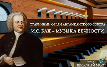 органный концерт Старинный орган Англиканского собора. И.С. Бах — музыка вечности