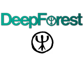 концерт SECRET GARDEN & DEEP FOREST