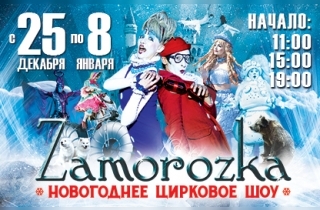 новогодний спектакль Новогоднее цирковое шоу "Заморозка"