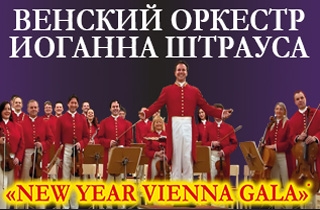 концерт New Year Vienna Gala. (Новогодний концерт в Вене)