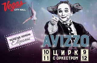 цирковое представление Цирковое шоу «AVIZZO»