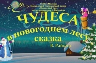 театральное представление Чудеса в новогоднем лесу 