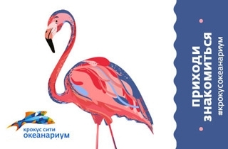 океанариум Океанариум - Общая экспозиция