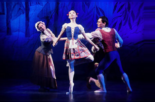 театральное представление Балет "Синяя птица"