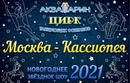 новогодний спектакль Цирк Аквамарин-Новогоднее шоу 2021