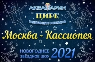 новогодний спектакль Цирк Аквамарин-Новогоднее шоу 2021